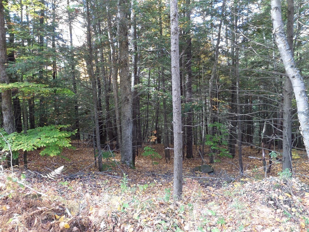 0 Thayer Hill Rd Property Photo 1