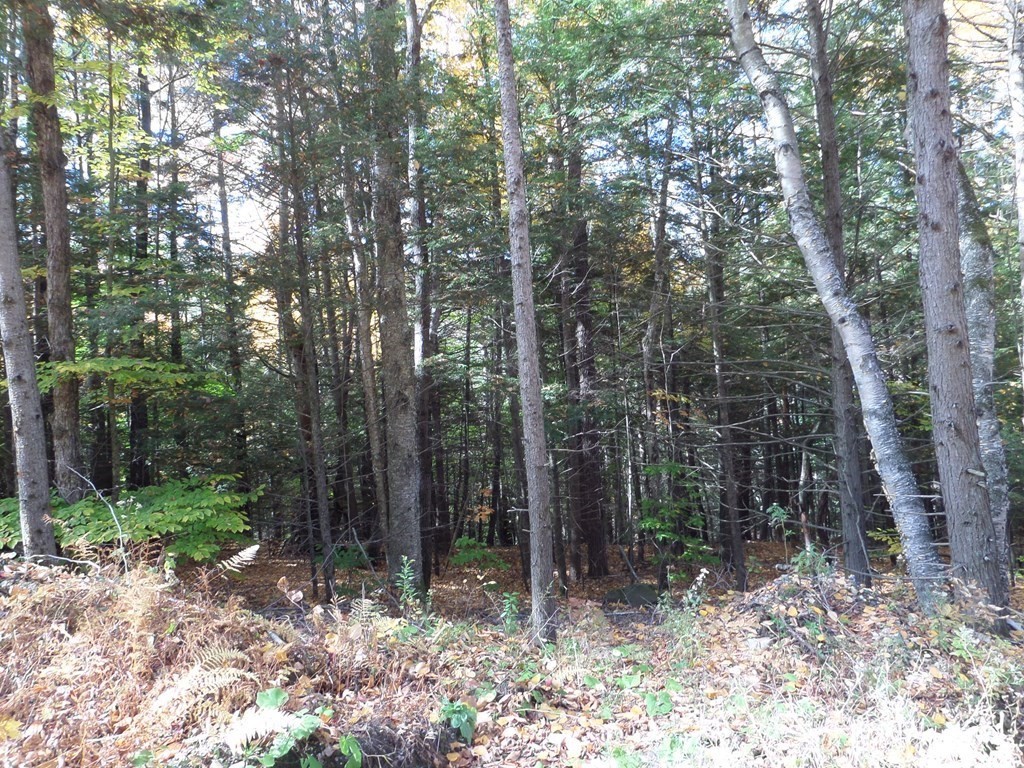 0 Thayer Hill Rd Property Photo 3