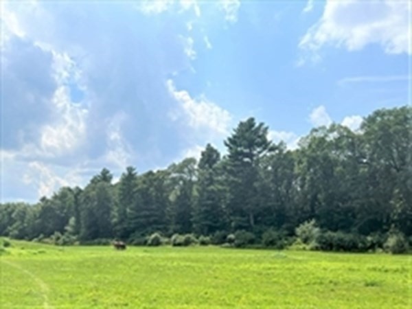 Lot 000 Summer Street Property Photo 3