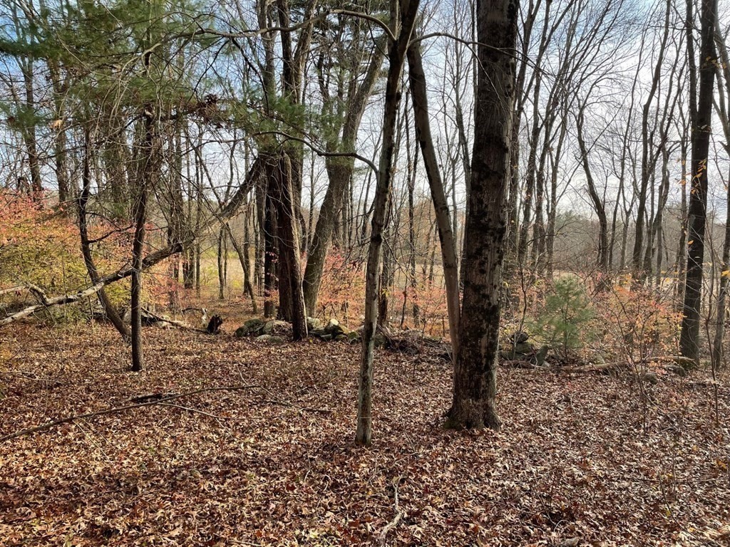 7 Central Turnpike Property Photo 3