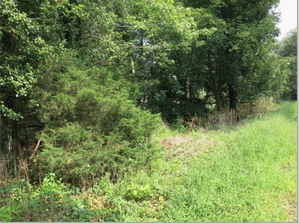 0 Mount Blue St