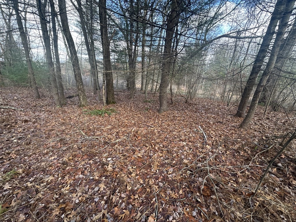 32 Sheep Pasture Rd. Property Photo 2