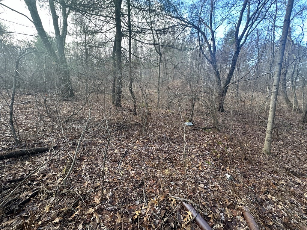 32 Sheep Pasture Rd. Property Photo 3