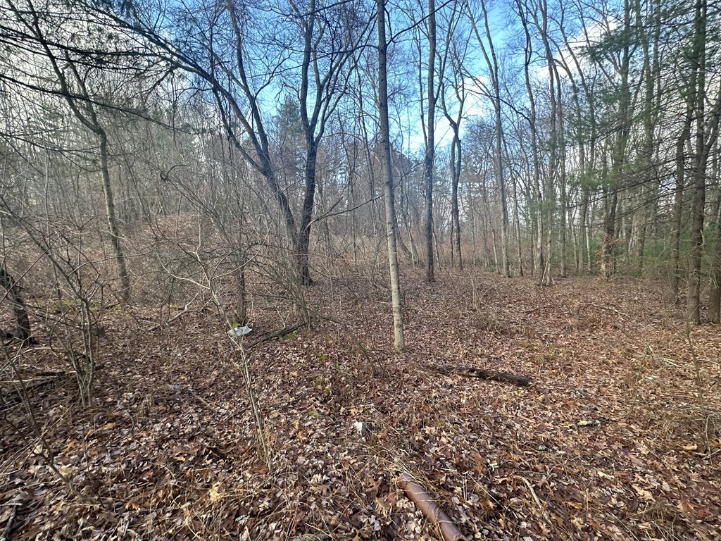 32 Sheep Pasture Rd. Property Photo 4