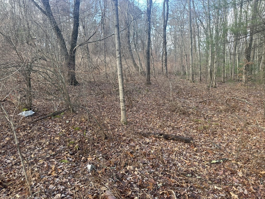 32 Sheep Pasture Rd. Property Photo 5