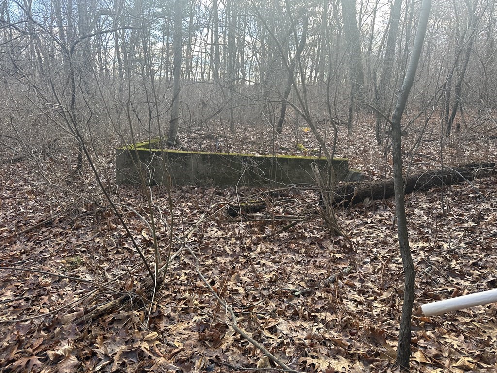 32 Sheep Pasture Rd. Property Photo 6