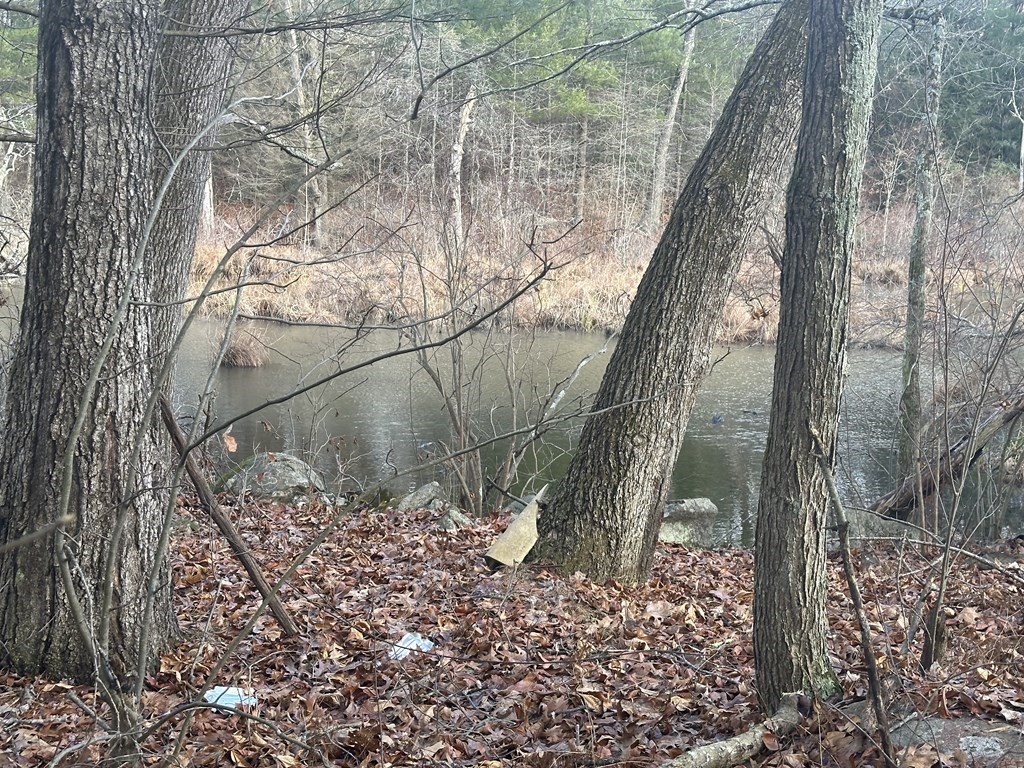 32 Sheep Pasture Rd. Property Photo 7