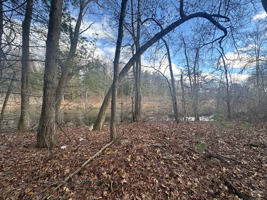 32 Sheep Pasture Rd. Property Photo 8