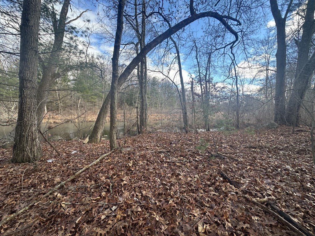 32 Sheep Pasture Rd. Property Photo 9