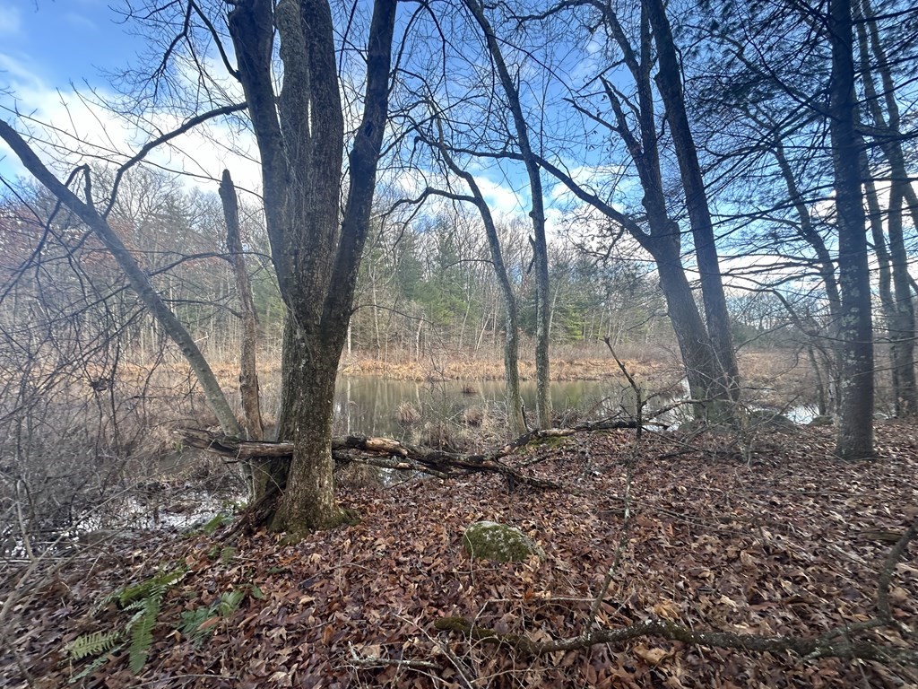 32 Sheep Pasture Rd. Property Photo 10