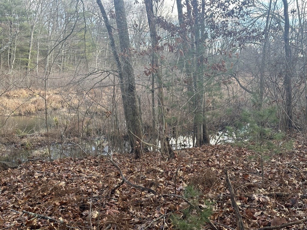 32 Sheep Pasture Rd. Property Photo 11