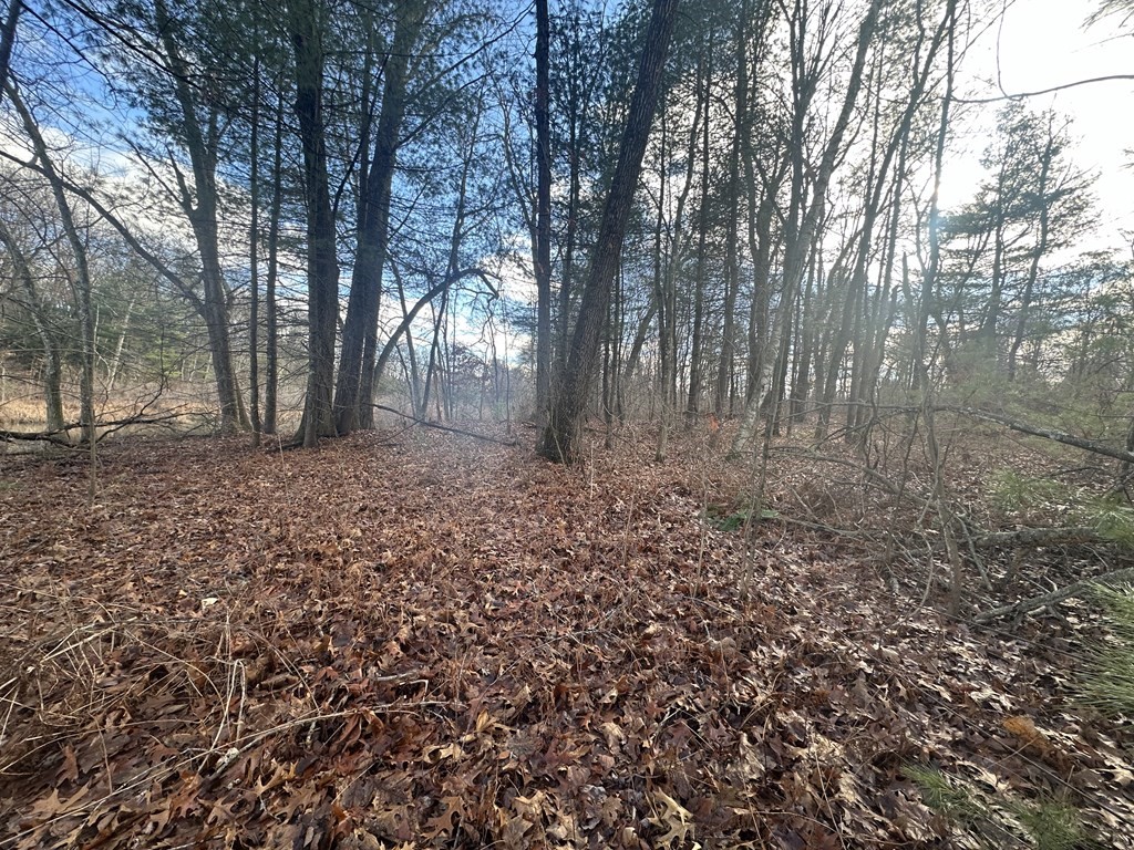 32 Sheep Pasture Rd. Property Photo 12