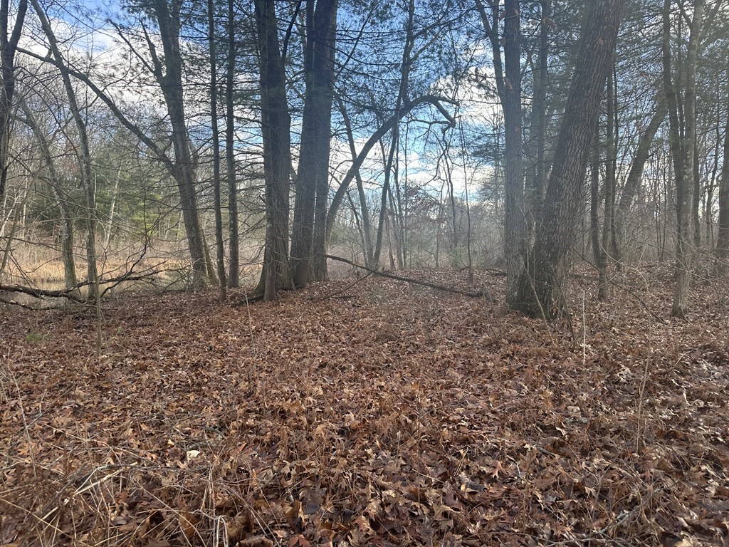 32 Sheep Pasture Rd. Property Photo 13