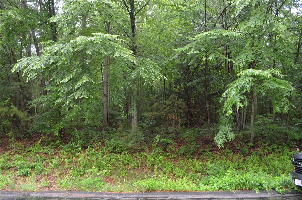 67 Babcock Tavern Rd Property Photo 1