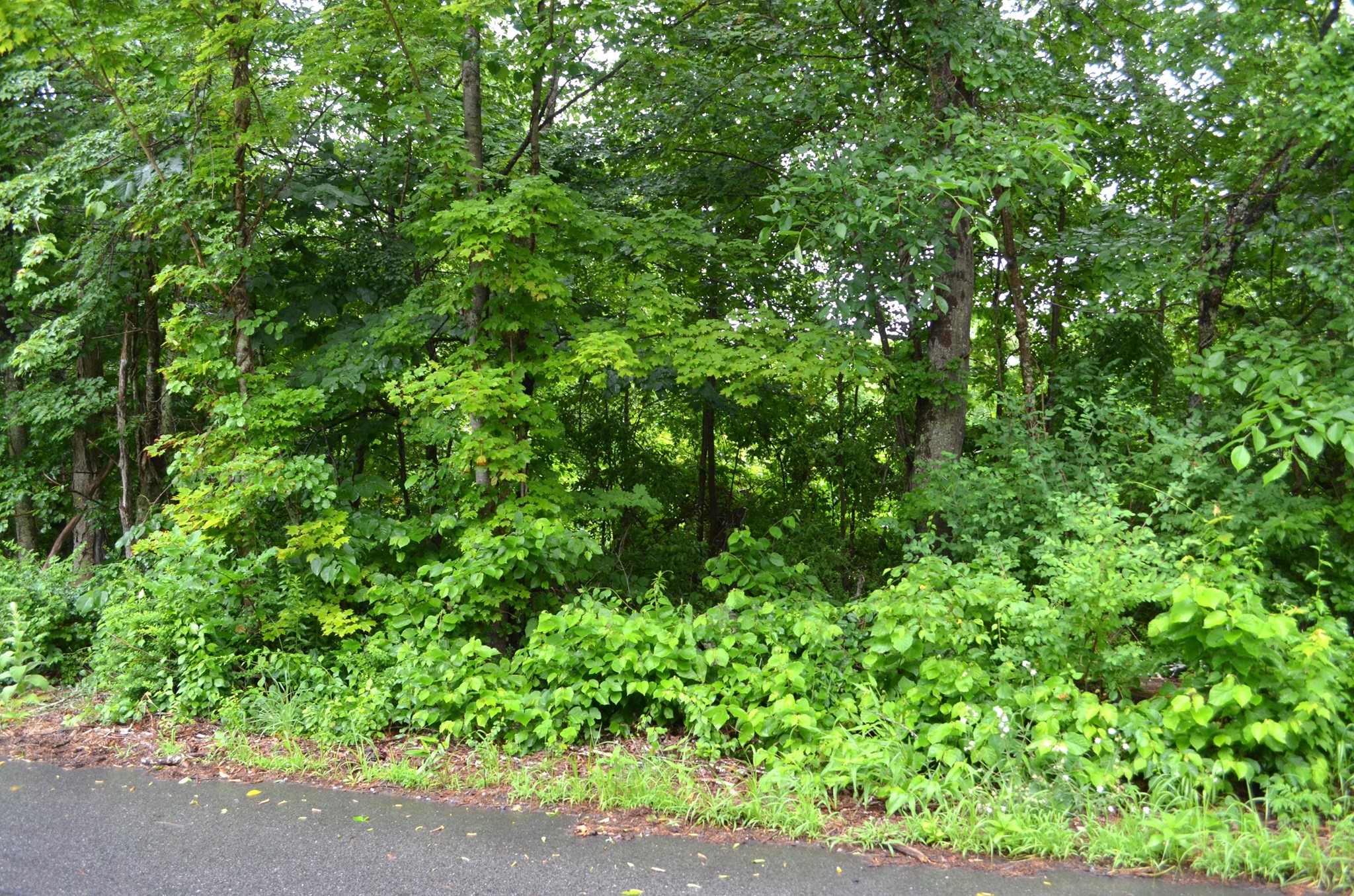 67 Babcock Tavern Rd Property Photo 2