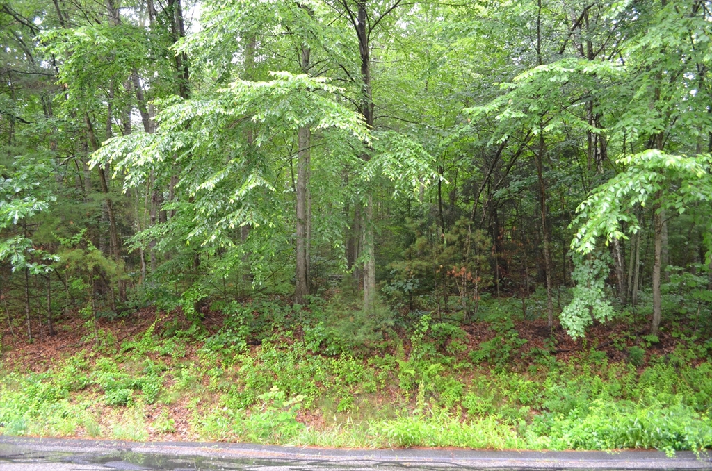 67 Babcock Tavern Rd Property Photo 3