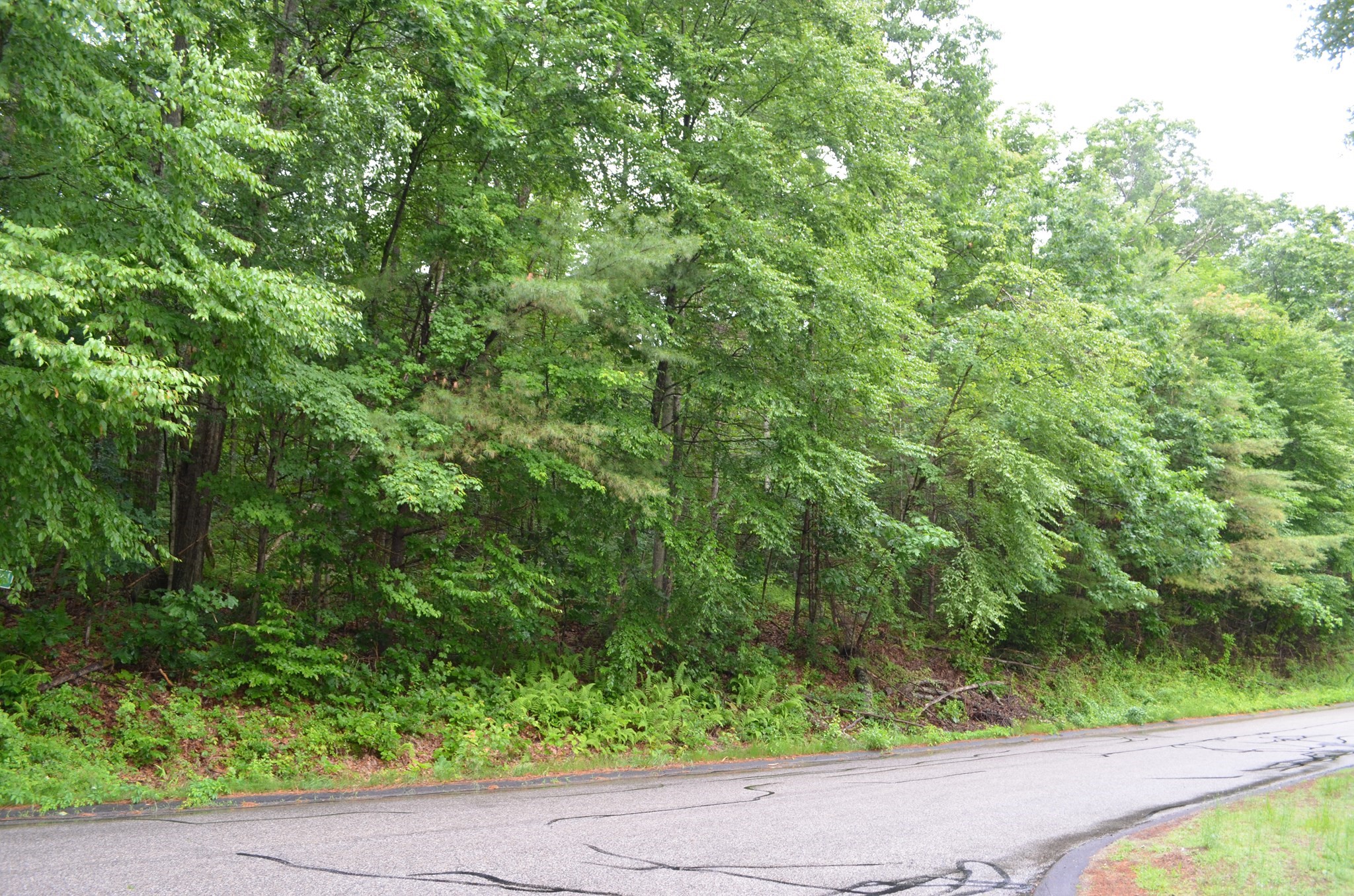 Lot 4 Babcock Tavern Rd Property Photo 1
