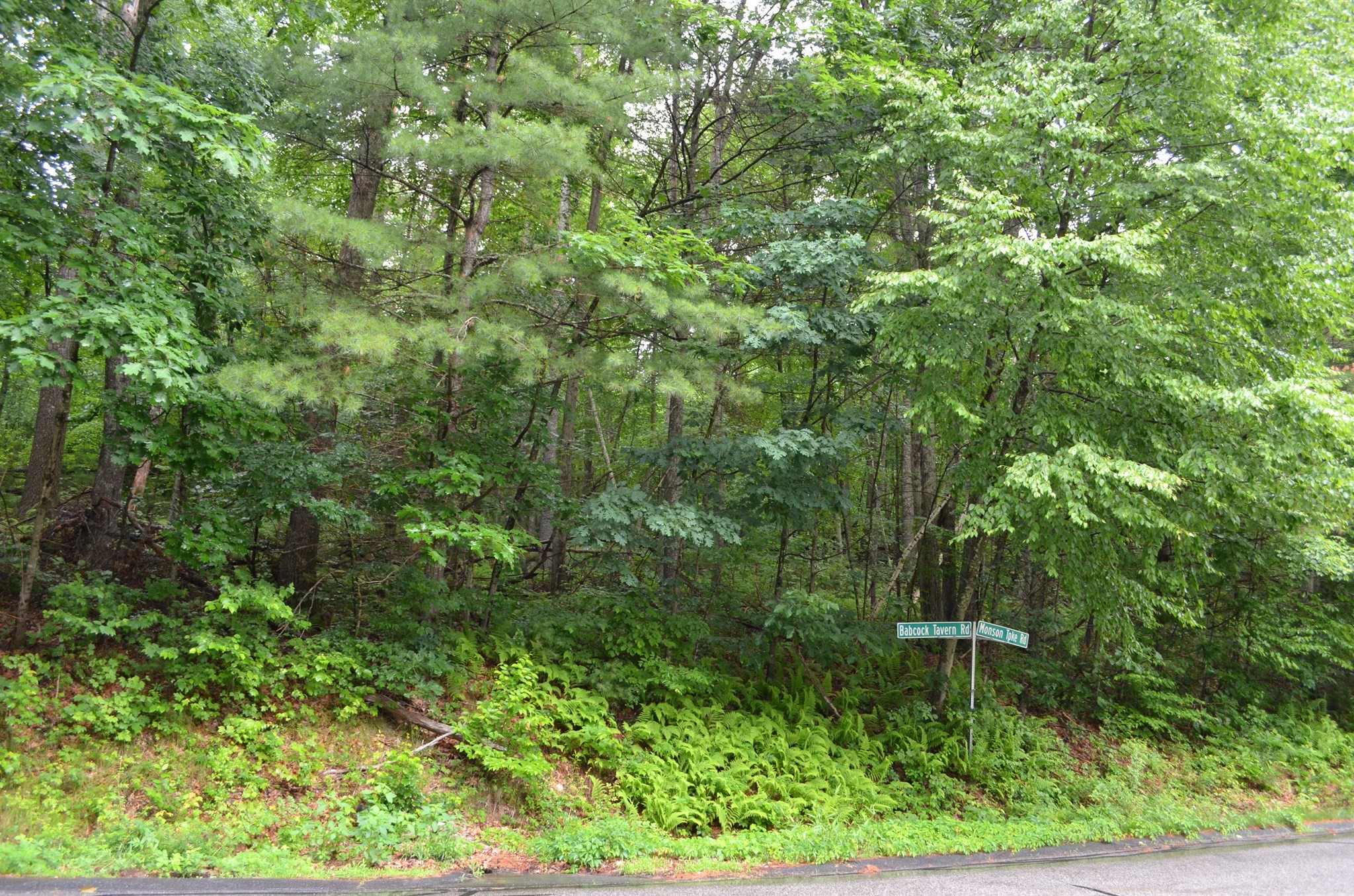 Lot 4 Babcock Tavern Rd Property Photo 2