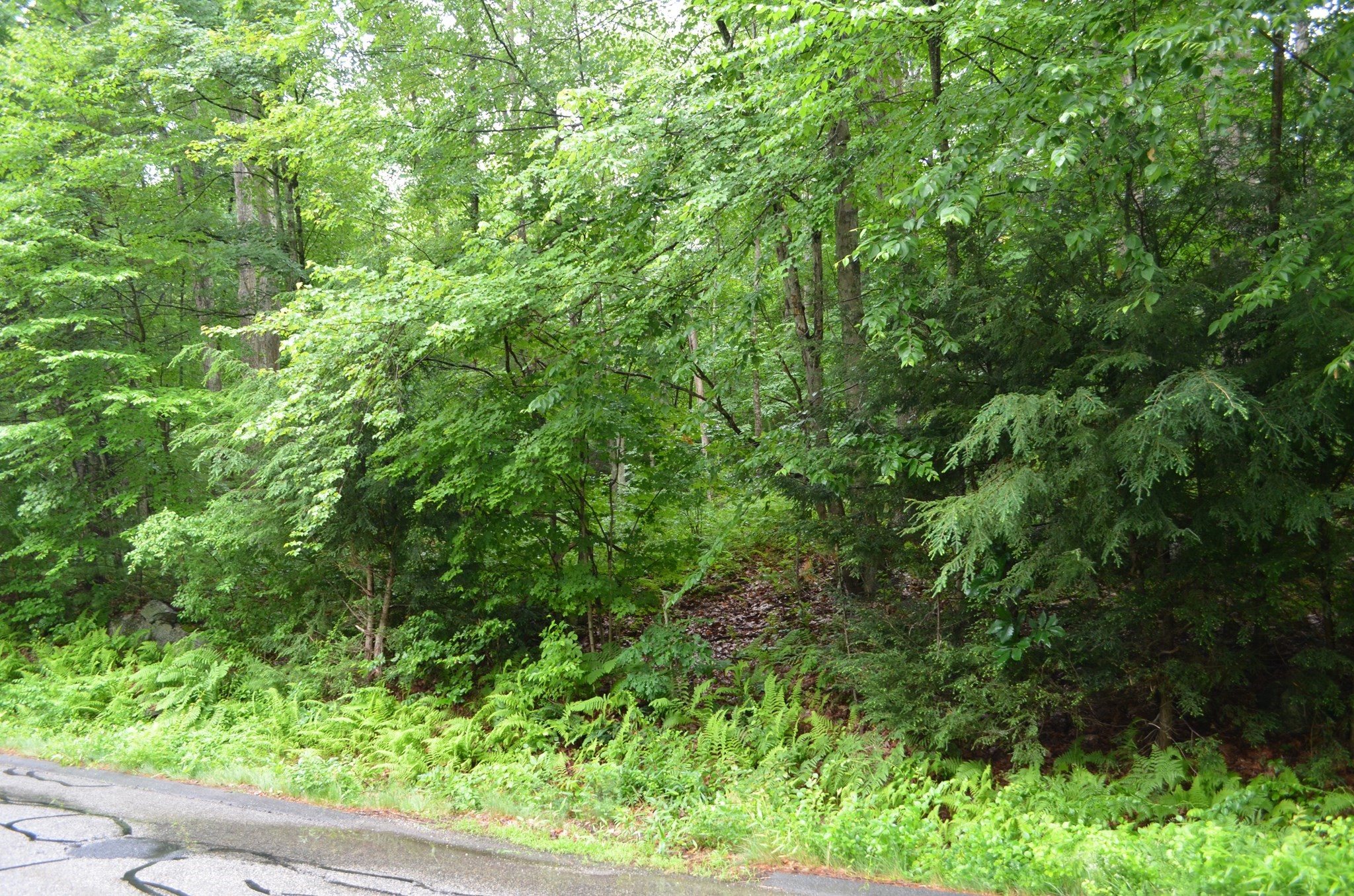 Lot 4 Babcock Tavern Rd Property Photo 3
