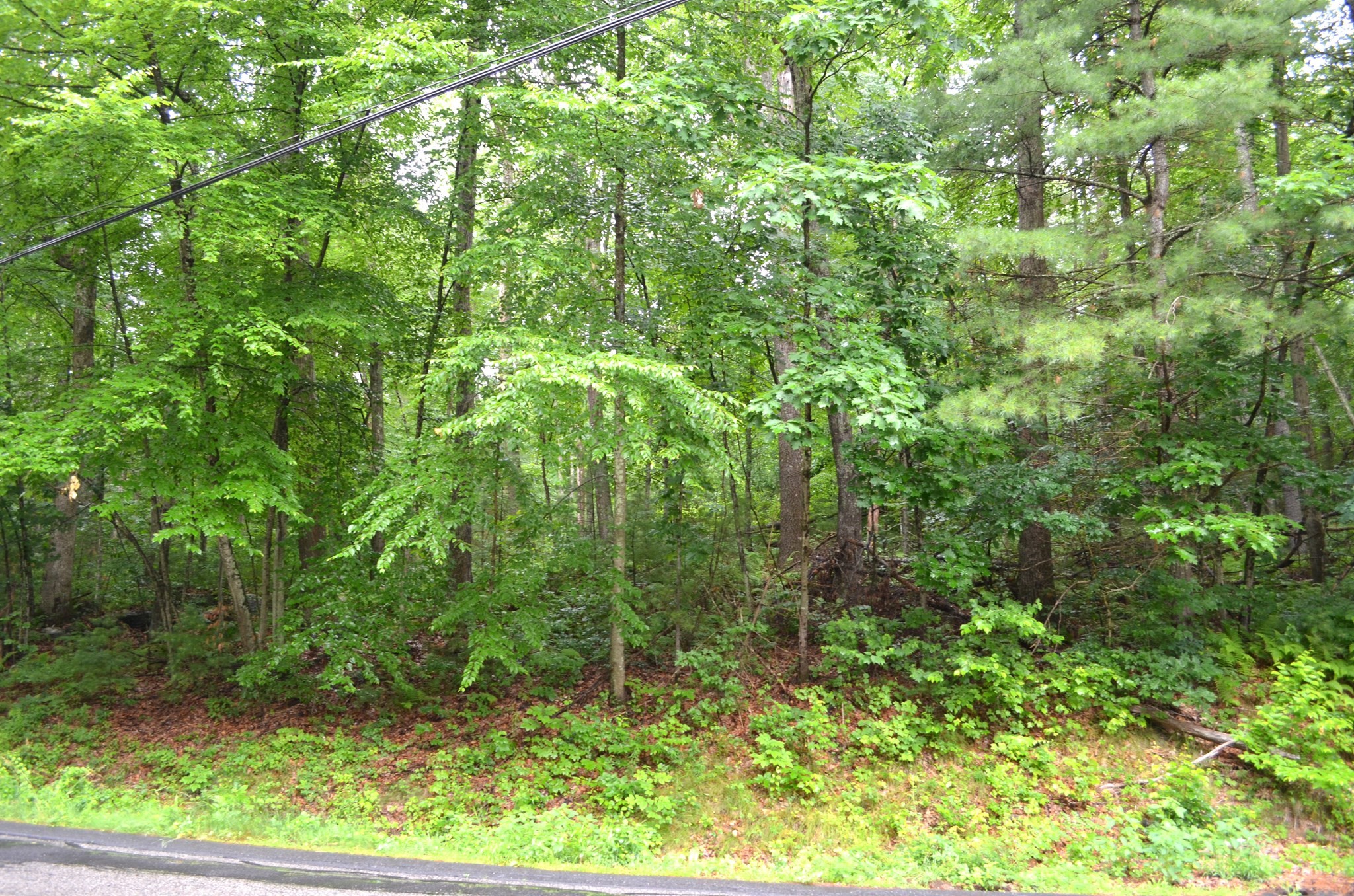 Lot 4 Babcock Tavern Rd Property Photo 4