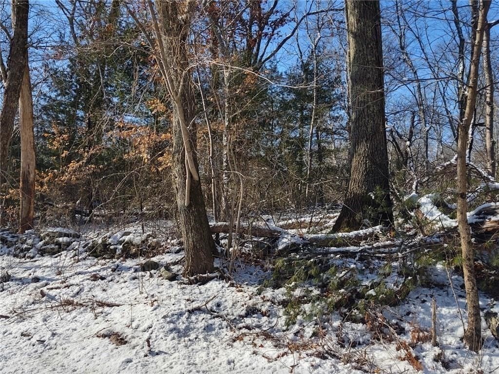 0 Winter St Property Photo 2