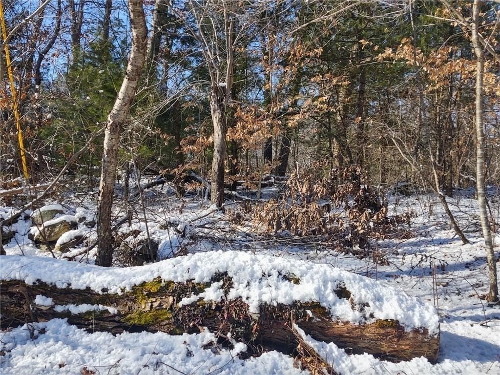 0 Winter St Property Photo 3