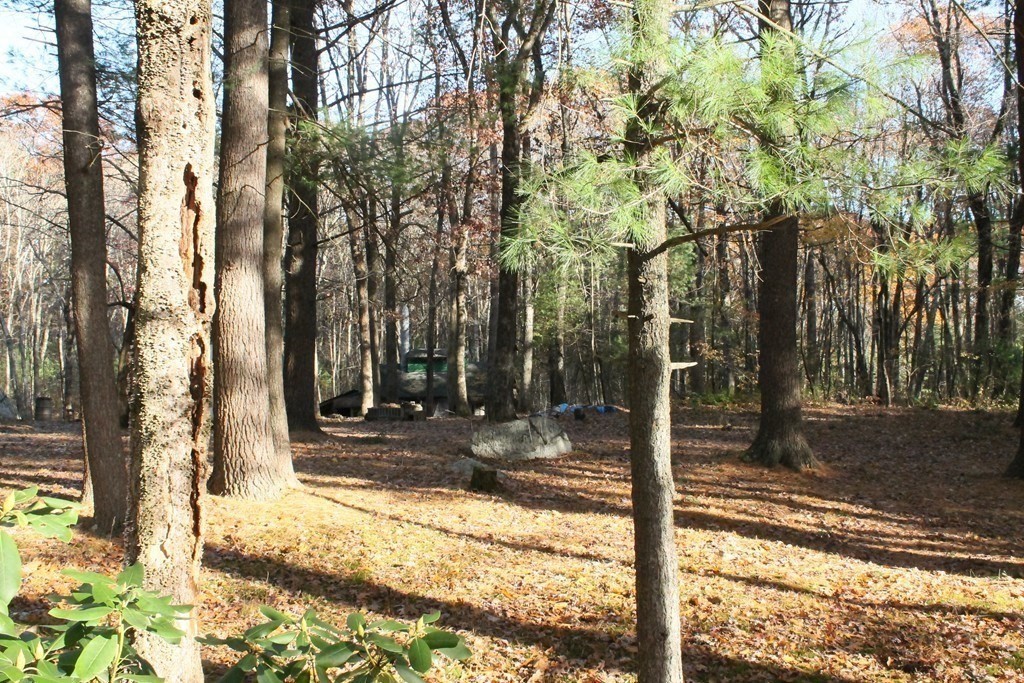 181 Ash Street Property Photo 26