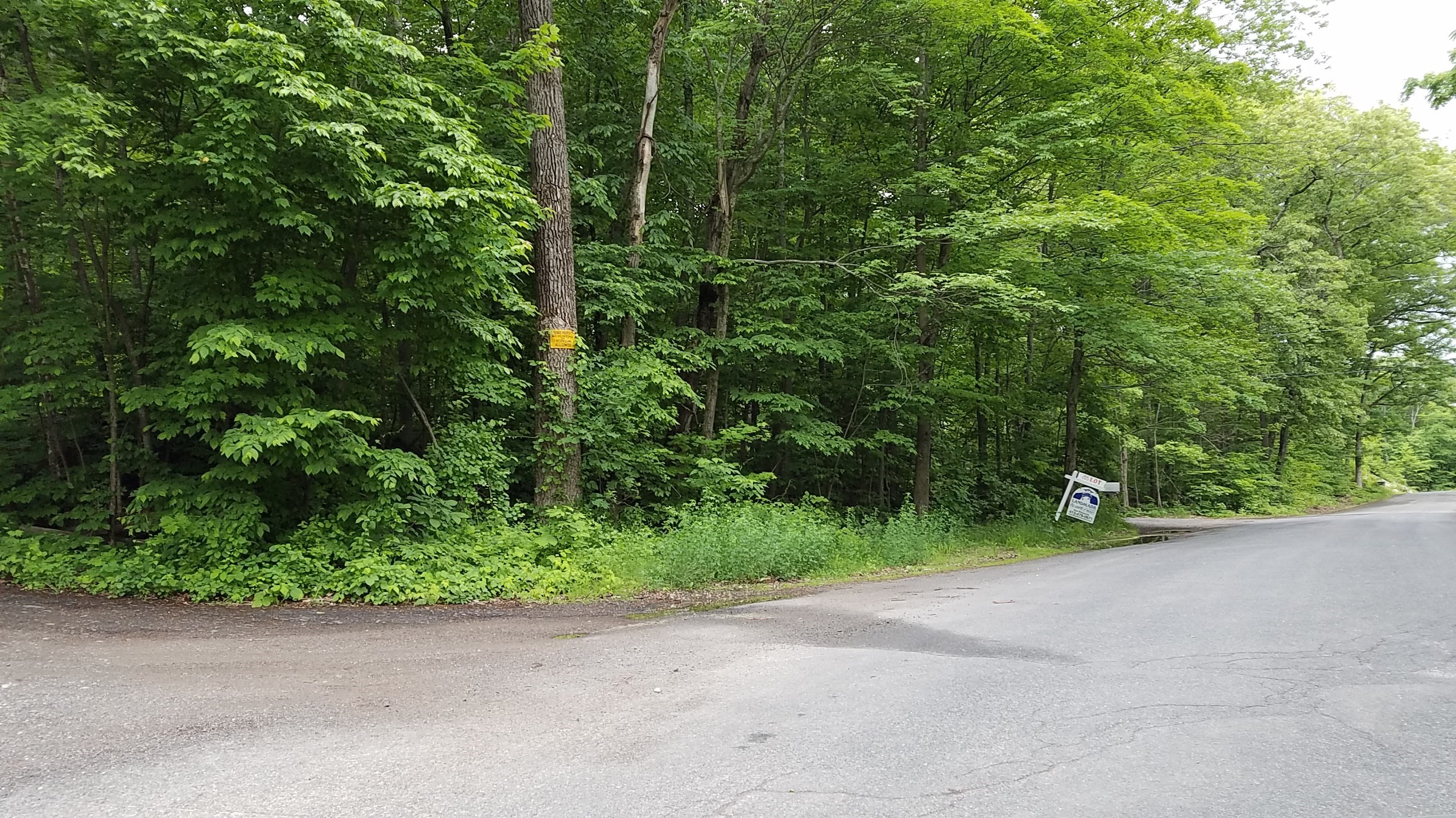 0 Mountain Rd