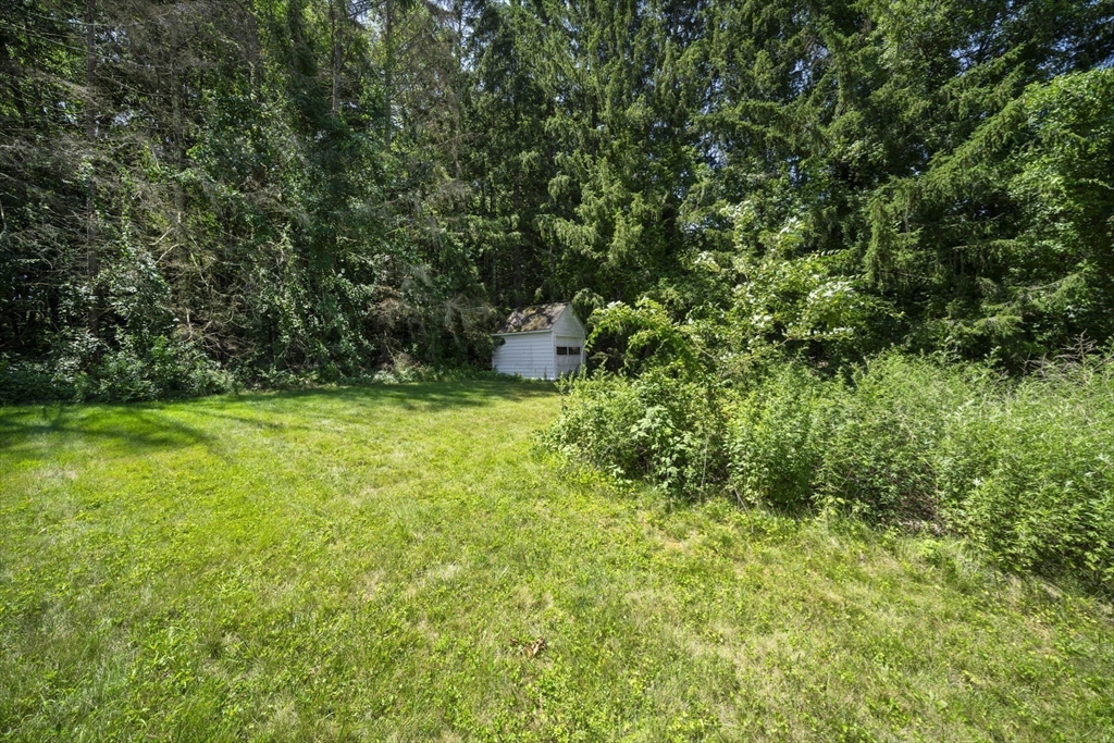 41 Martin Farms Road Property Photo 4