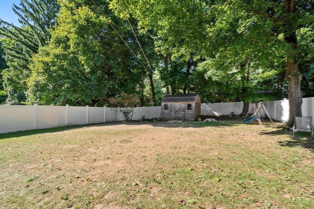 247 May St Property Photo 26
