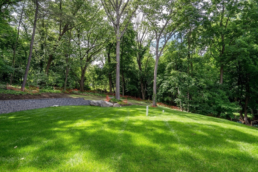 8 Winston Road Property Photo 41
