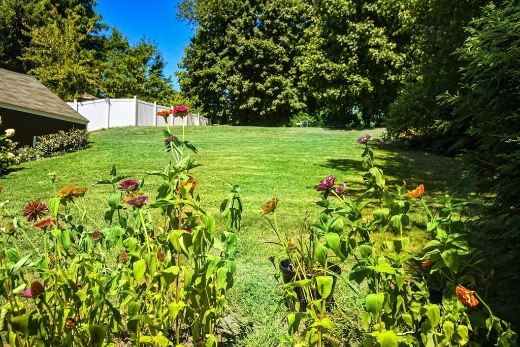 436 Main Street Property Photo 35