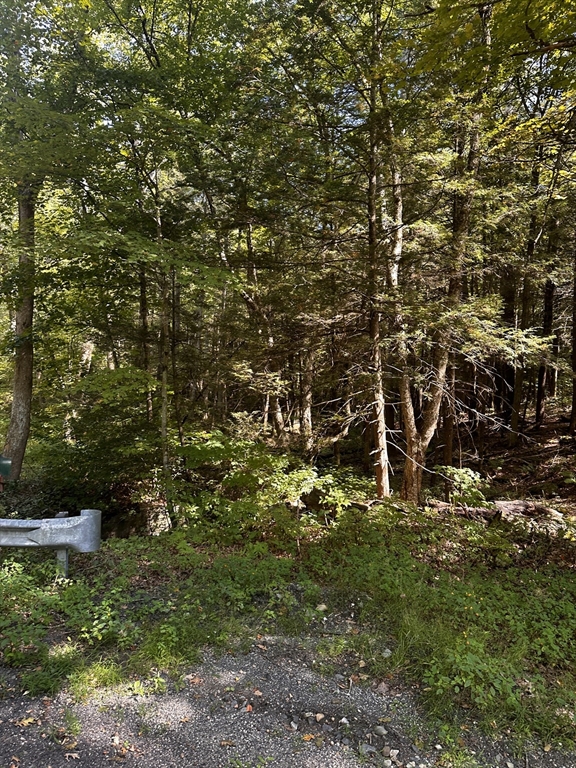 0 Main Road Property Photo 1
