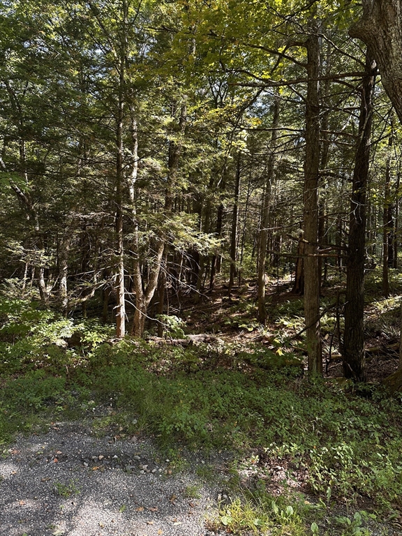 0 Main Road Property Photo 3