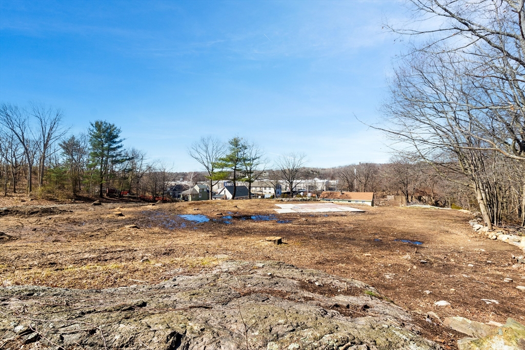 49-61 Eagle Road Property Photo 22