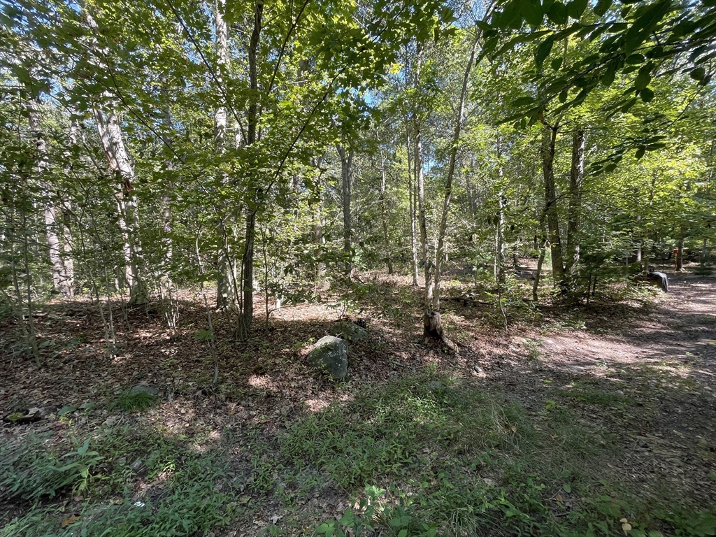 156 Rocky Hill Rd Property Photo 2