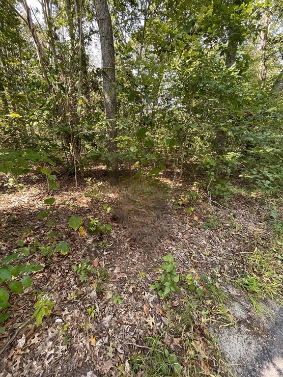 156 Rocky Hill Rd Property Photo 3