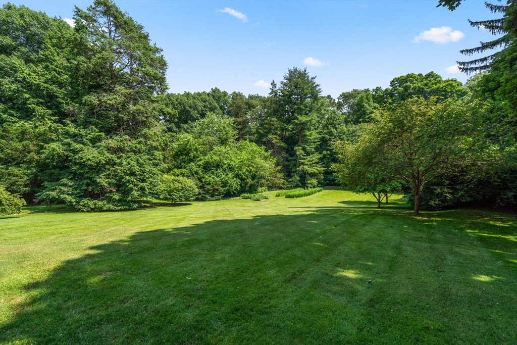 Lot 2 Chapin Road Property Photo 4