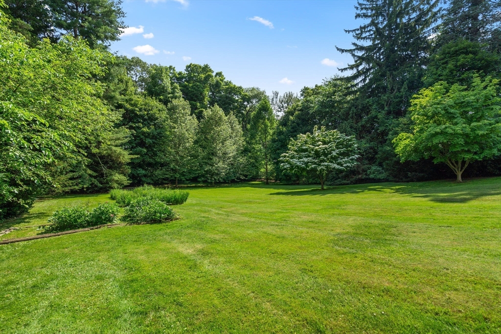 60 Chapin Road Property Photo 6