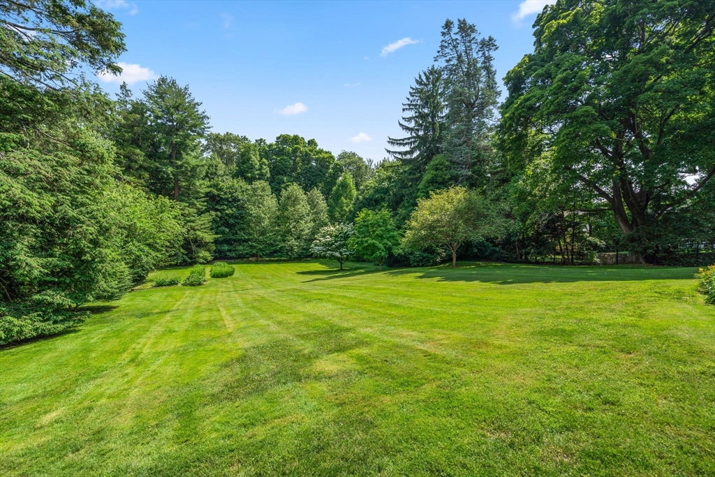60 Chapin Road Property Photo 7