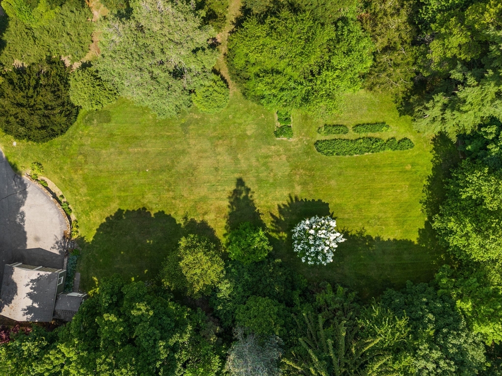 60 Chapin Road Property Photo 8