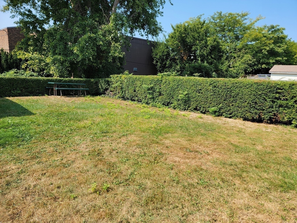 35 Vane Street Property Photo 13