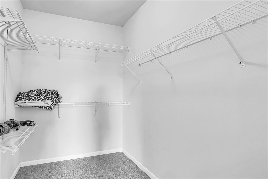 215 Deacon Shattuck Way # 215 Property Photo 23