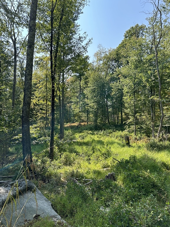 0 Southeast Main Street Property Photo 2