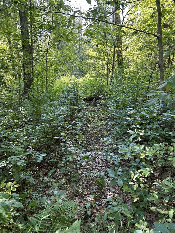 0 Southeast Main Street Property Photo 5