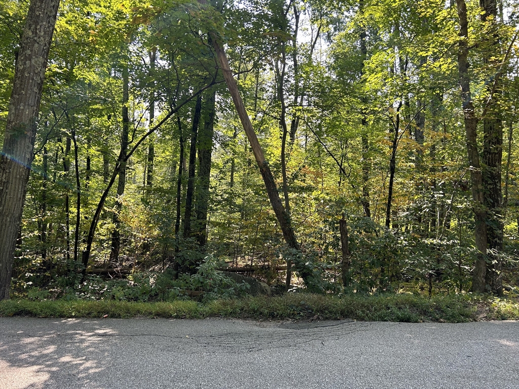 0 Southeast Main Street Property Photo 8