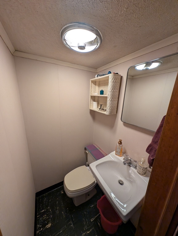 504 Lampblack Rd Property Photo 31