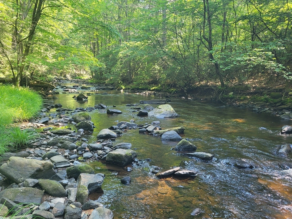 Xoxo River Rd Property Photo 6