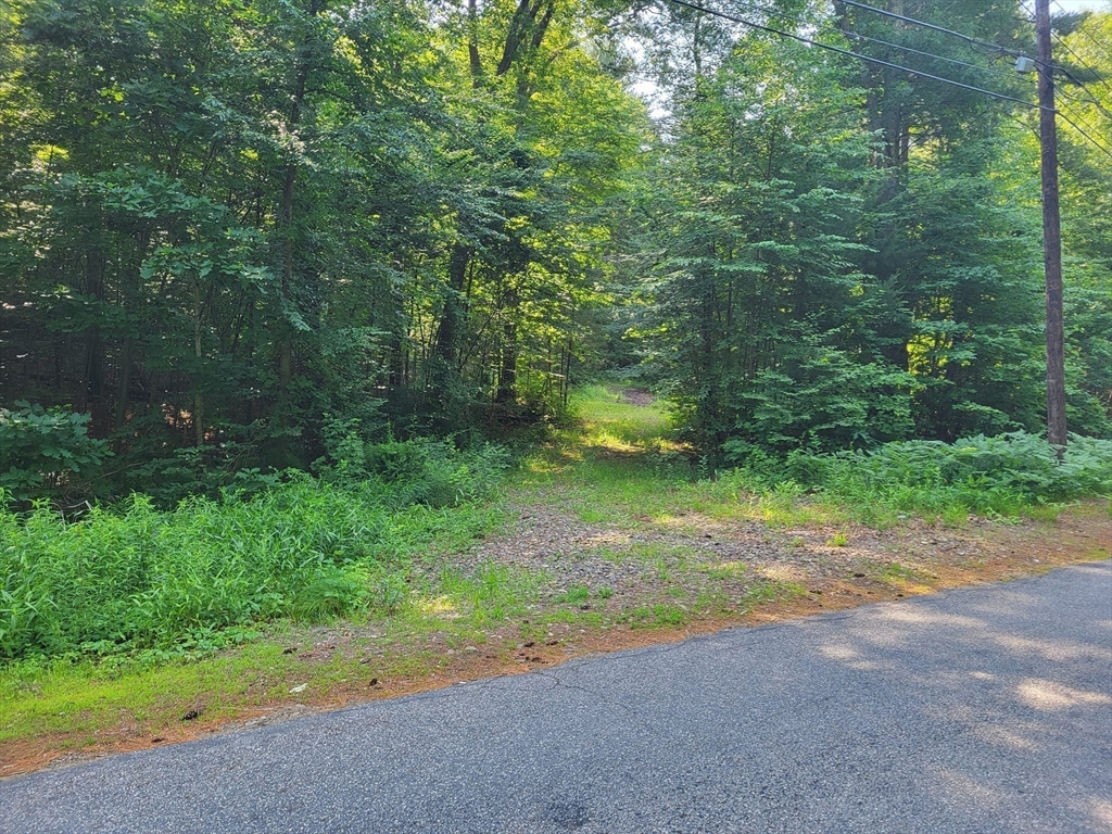 Xoxo River Rd Property Photo 8