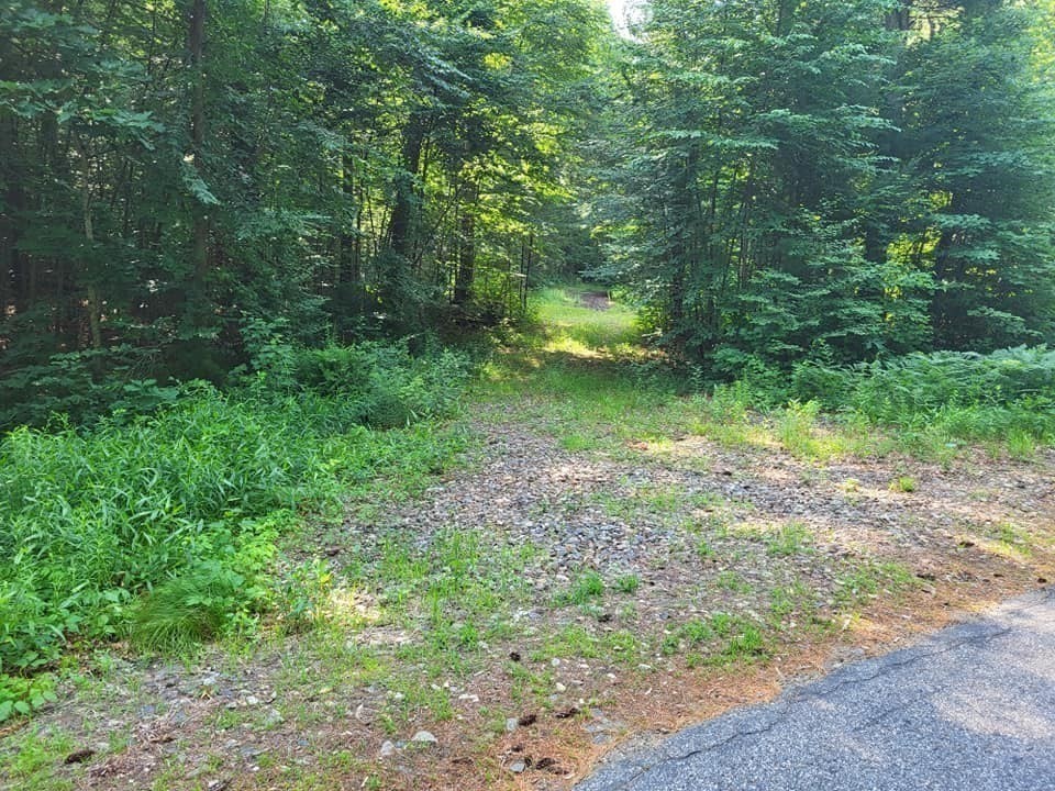 Xoxo River Rd Property Photo 9